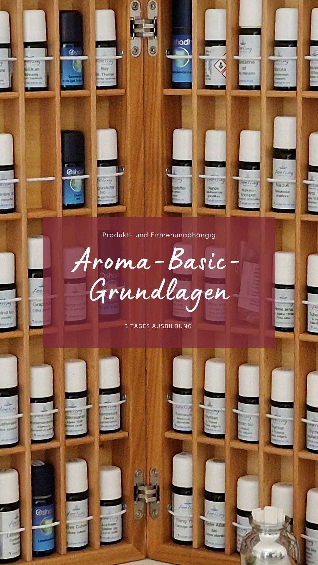 Aroma-Basic-Grundlagen